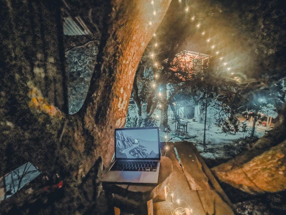 Pemsee's Tree Town - Eco-friendly,tree House Lodge
