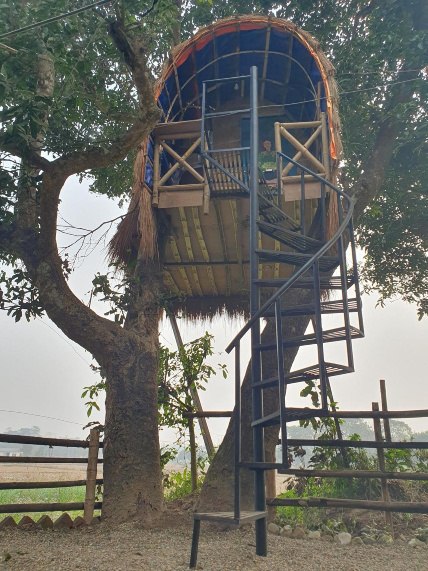 Lodge Pemsee's Tree Town - Eco-friendly,tree House Sauraha